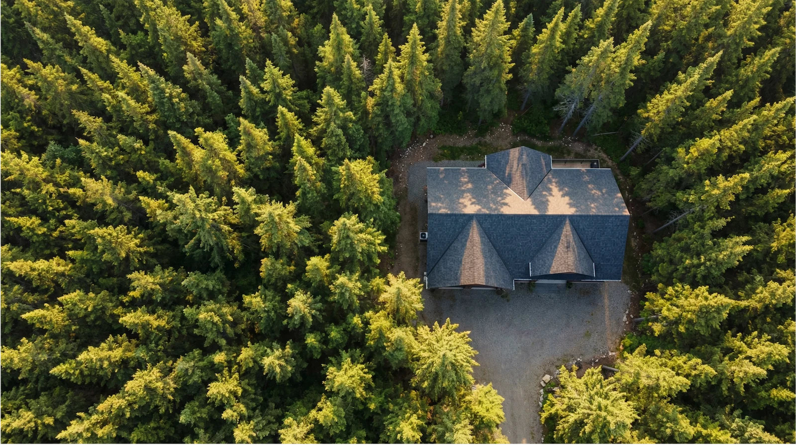Aerial view of home with premium roofing surrounded by forest